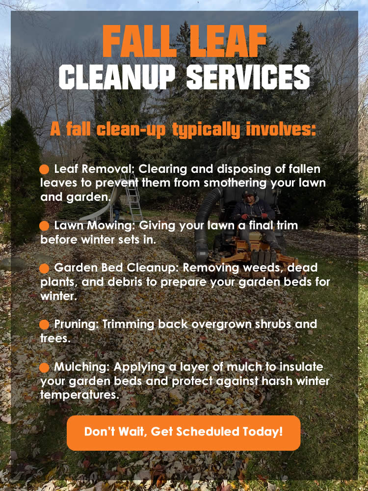 Fall Leaf Cleanup Services