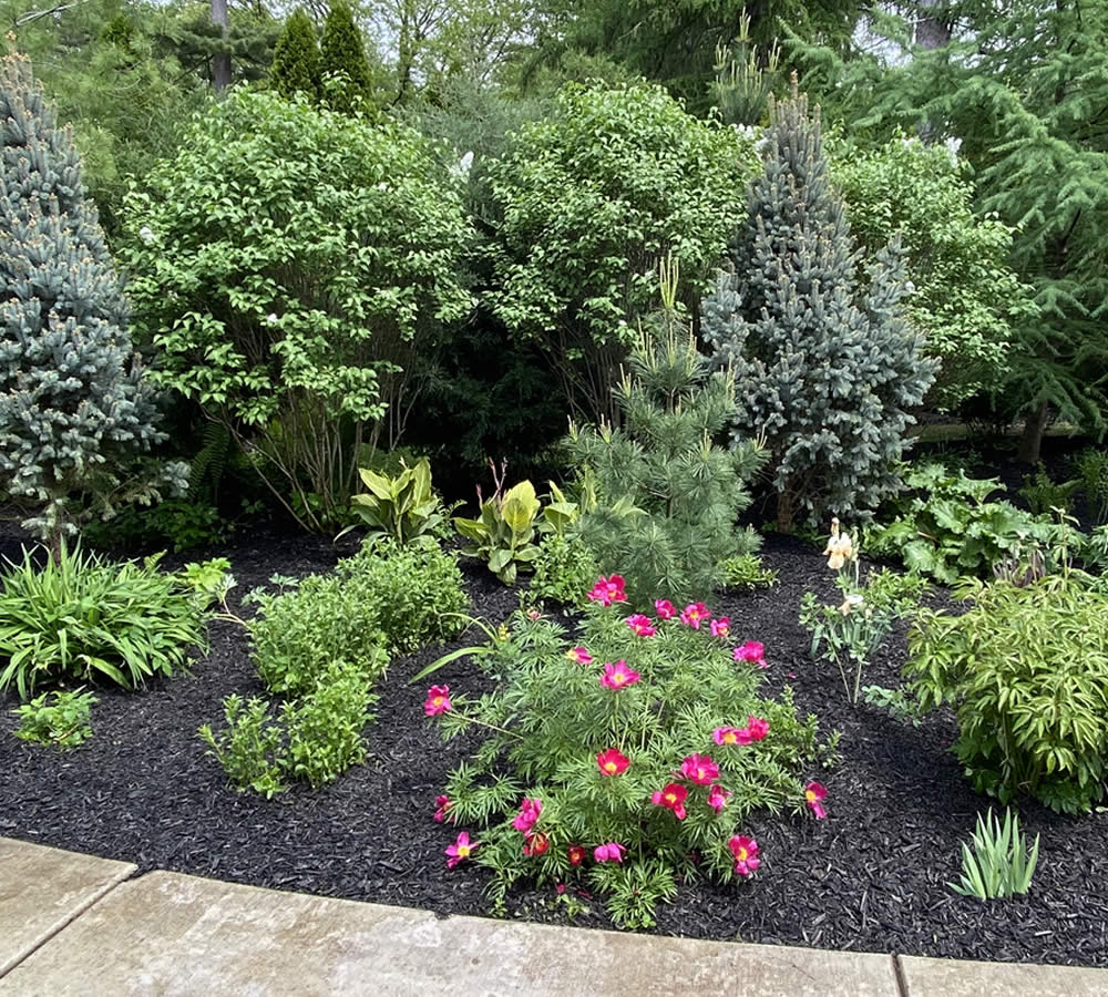 Landscaping Design and Installation Madison