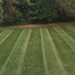 Professional Local Town of Westport Lawn Maintenance Services