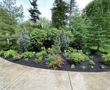 Plantings and design